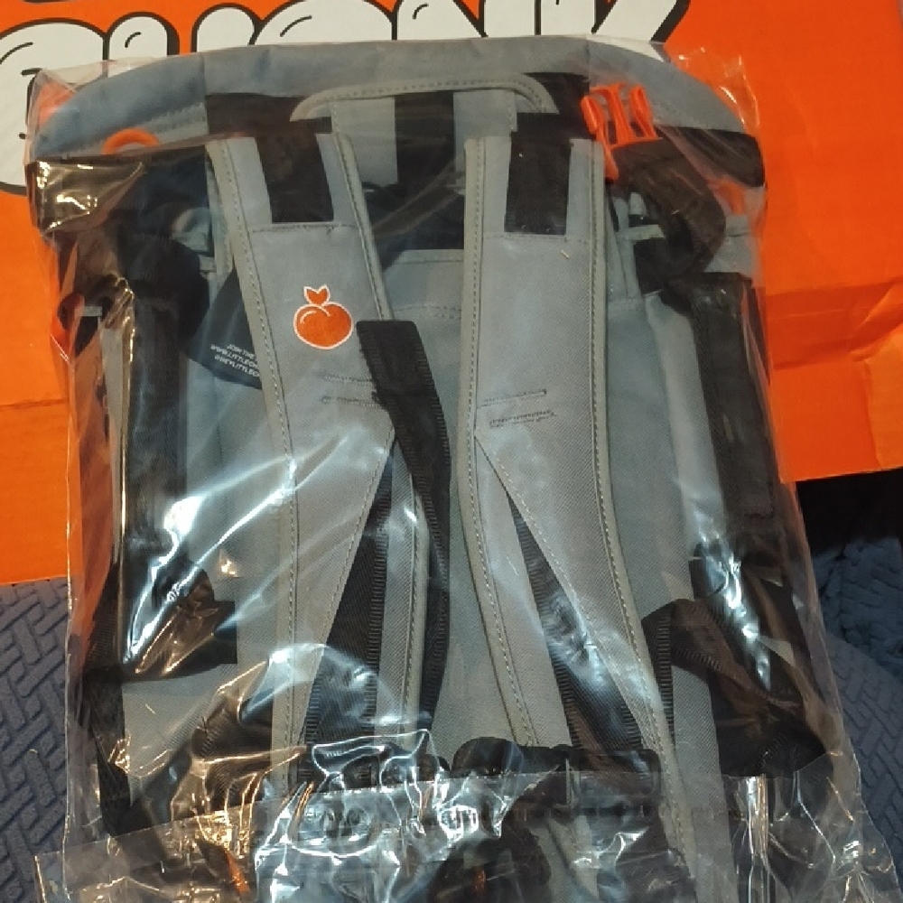 Gray Backpack - Picture 2 of 5